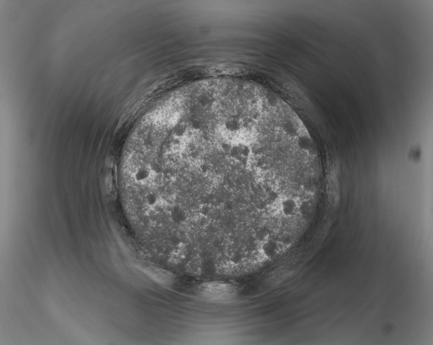 X0000114990169200912071125