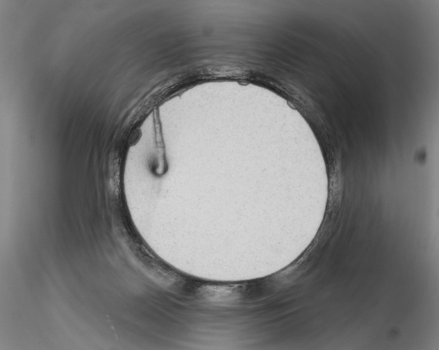 X0000114990170200912071125