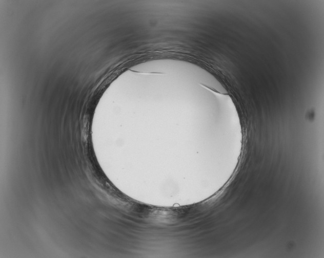 X0000114990174200912071125