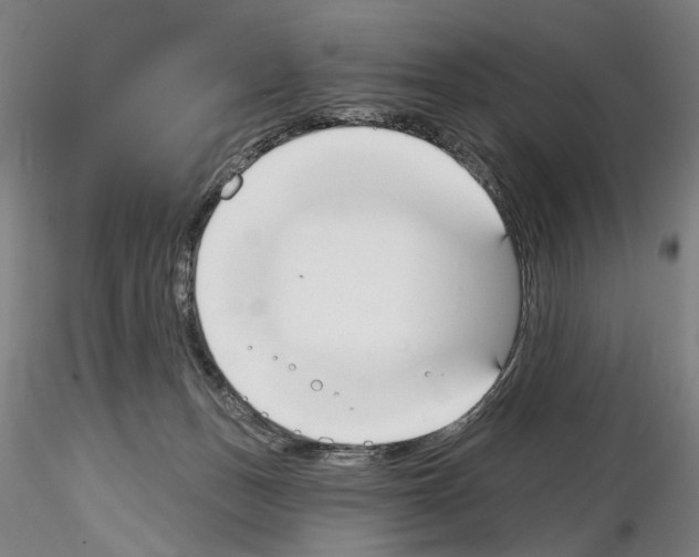 X0000114990175200912071125