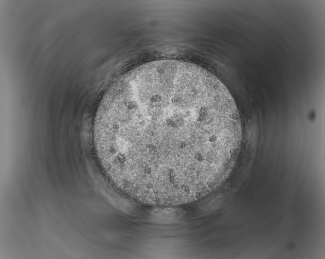 X0000114990181200912071125