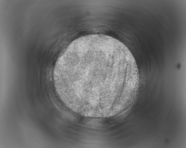 X0000114990182200912071125