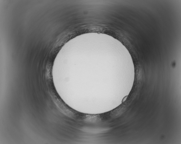 X0000114990185200912071125