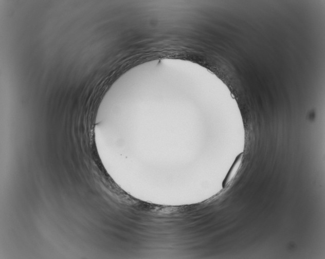 X0000114990186200912071125