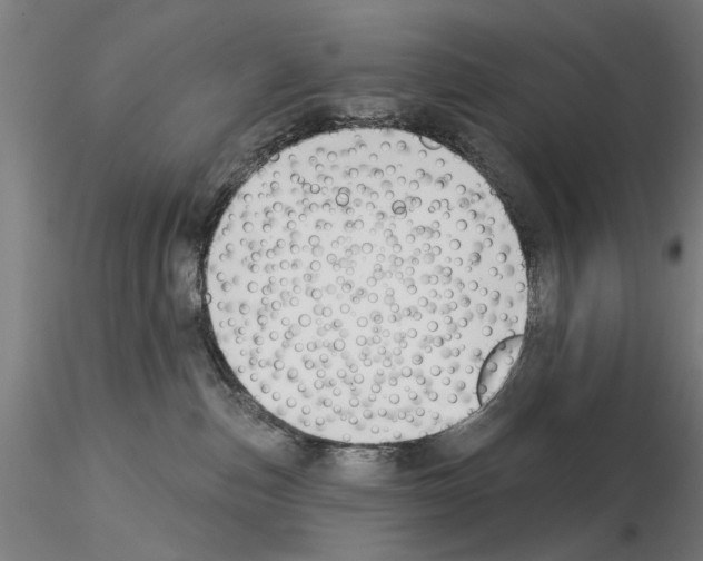 X0000114990187200912071125