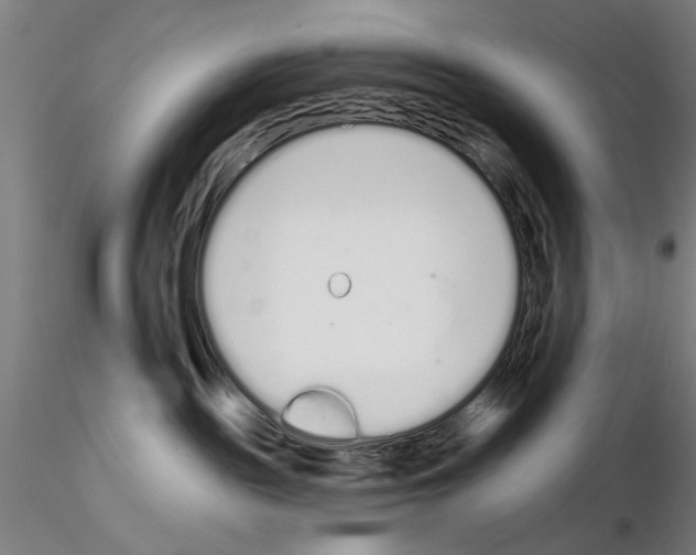 X0000114990189200912071125