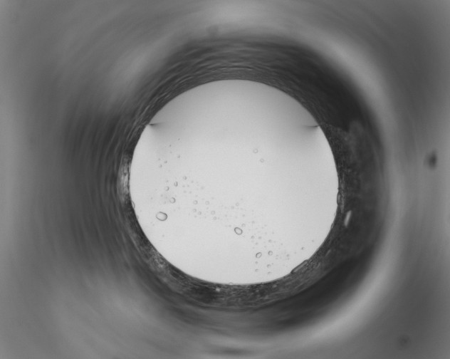 X0000114990190200912071125