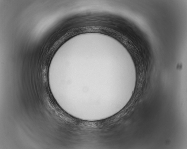 X0000114990194200912071124