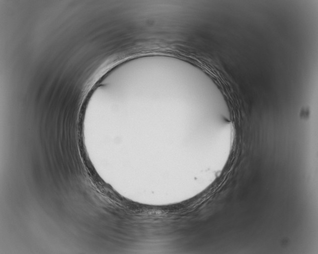 X0000114990195200912071124