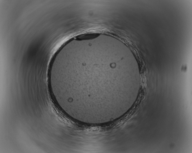 X0000114990196200912071124