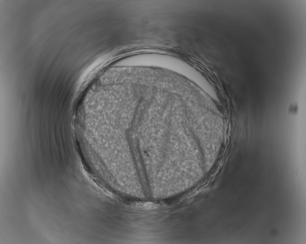 X0000114990197200912071124