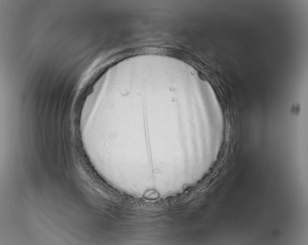 X0000114990198200912071124