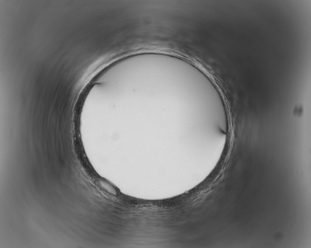 X0000114990199200912071124