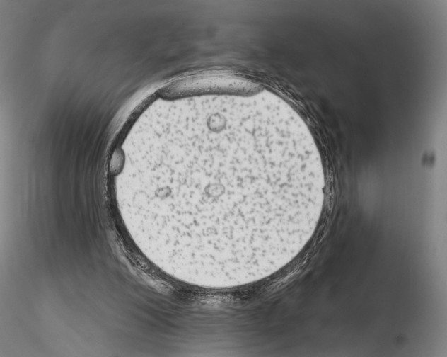 X0000114990200200912071124