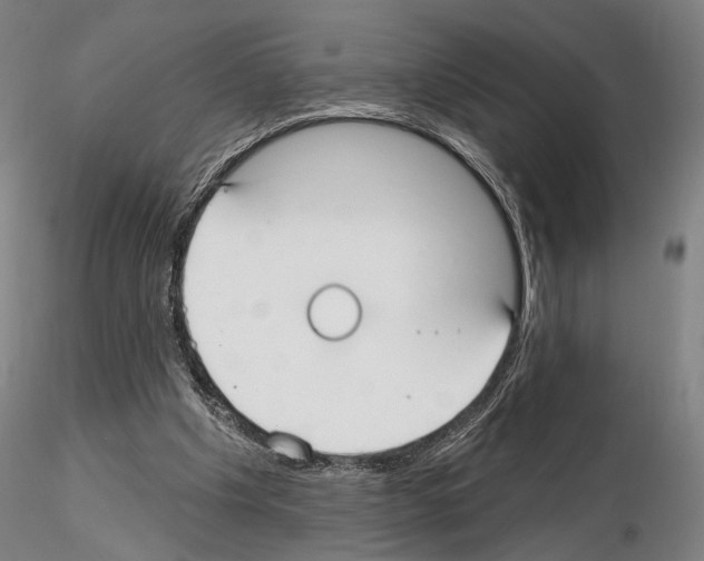 X0000114990201200912071124