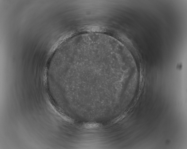 X0000114990202200912071124