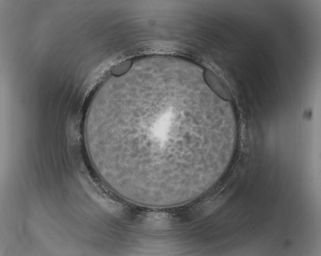 X0000114990203200912071124