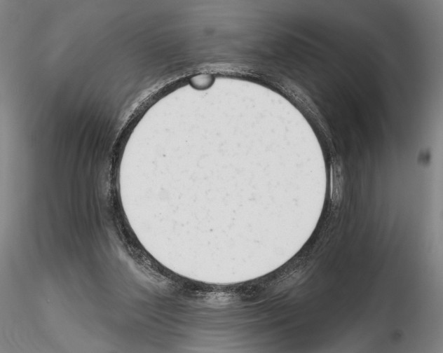 X0000114990204200912071124