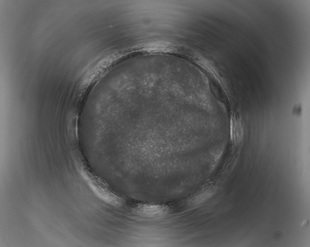 X0000114990205200912071124