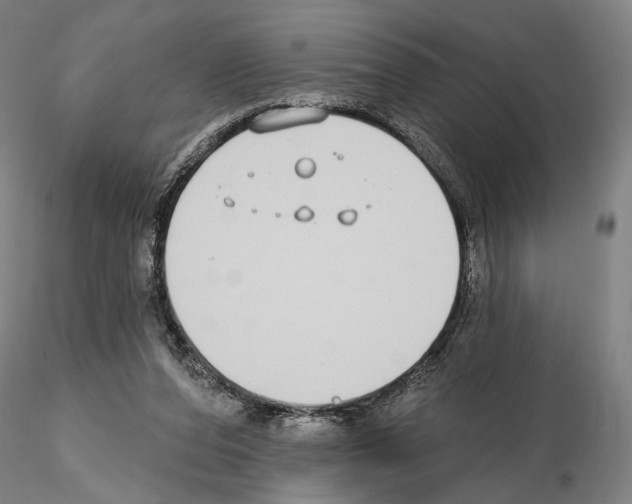 X0000114990208200912071124