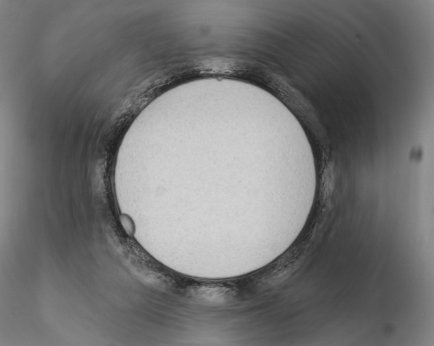 X0000114990209200912071124