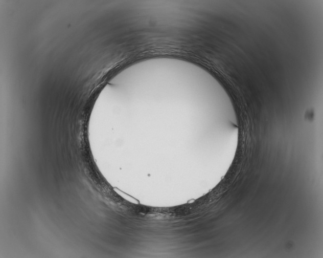 X0000114990211200912071124