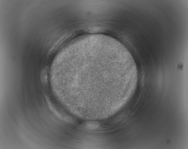 X0000114990214200912071124