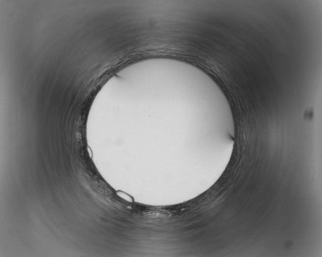 X0000114990215200912071124