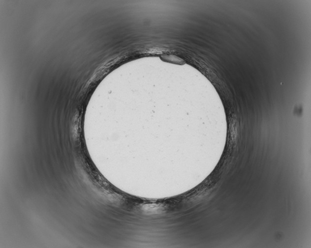 X0000114990216200912071124