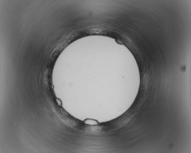 X0000114990217200912071124