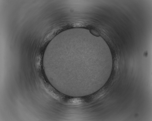 X0000114990219200912071124