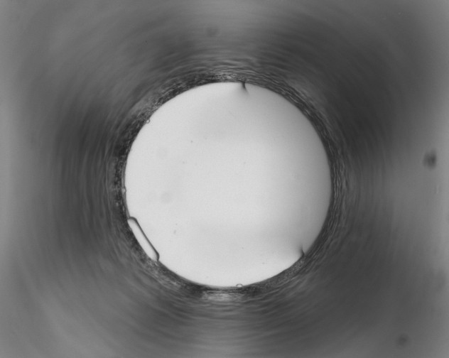 X0000114990221200912071124