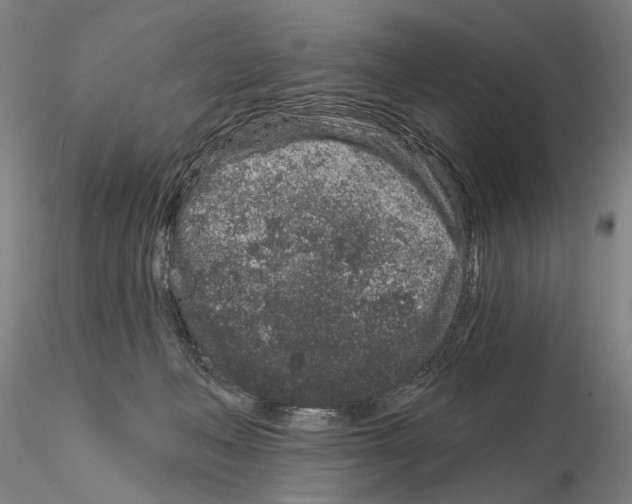 X0000114990222200912071124