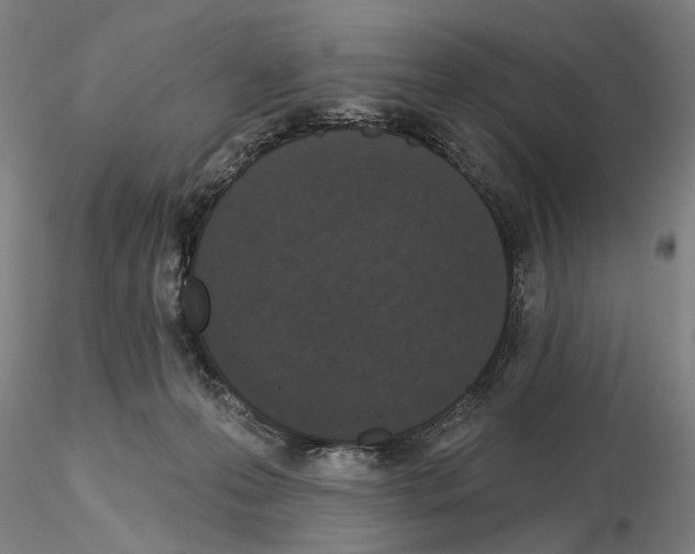 X0000114990223200912071124