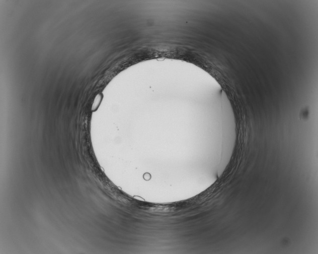 X0000114990225200912071124