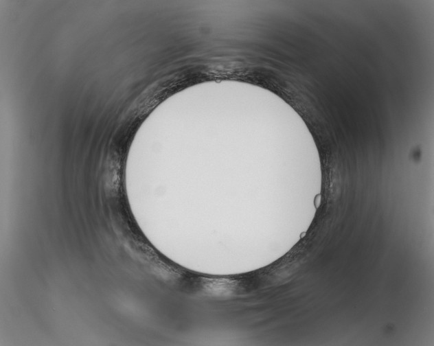 X0000114990226200912071124