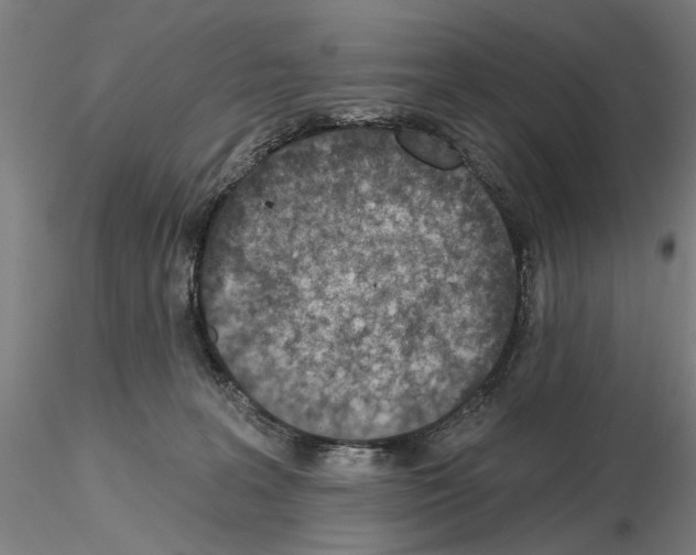 X0000114990227200912071124