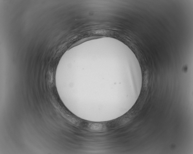 X0000114990230200912071124