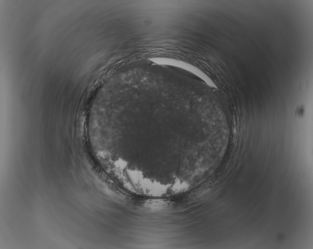 X0000114990231200912071124