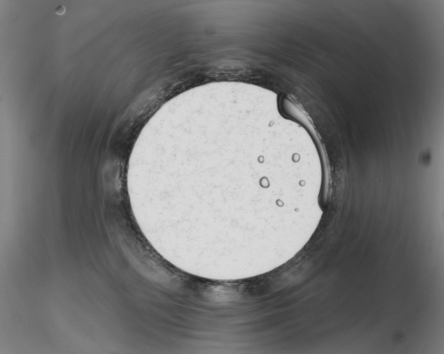 X0000114990232200912071124