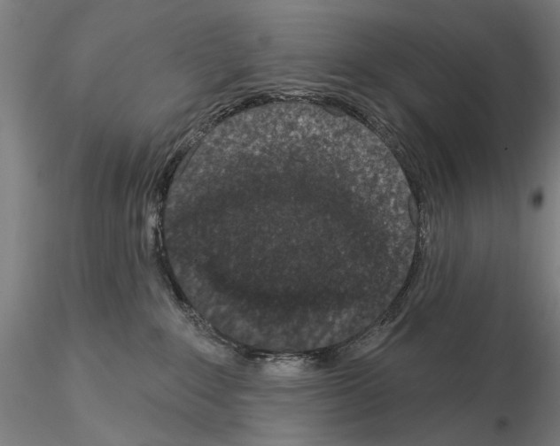 X0000114990235200912071124