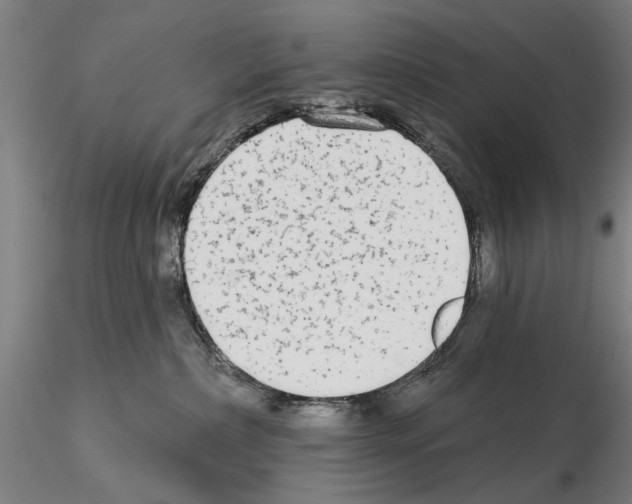 X0000114990236200912071124