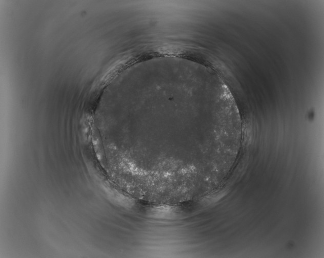 X0000114990237200912071124