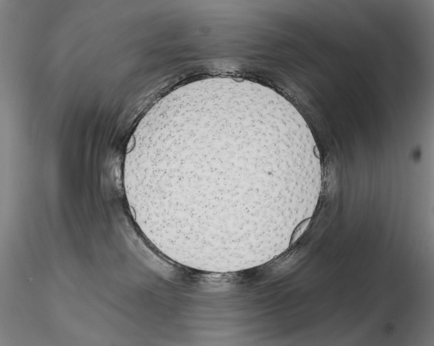 X0000114990238200912071124