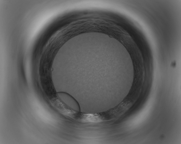 X0000114990239200912071124