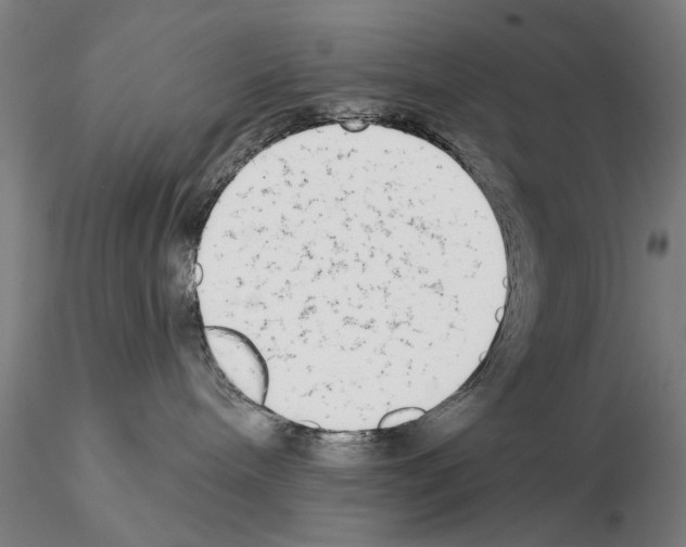 X0000114990240200912071124