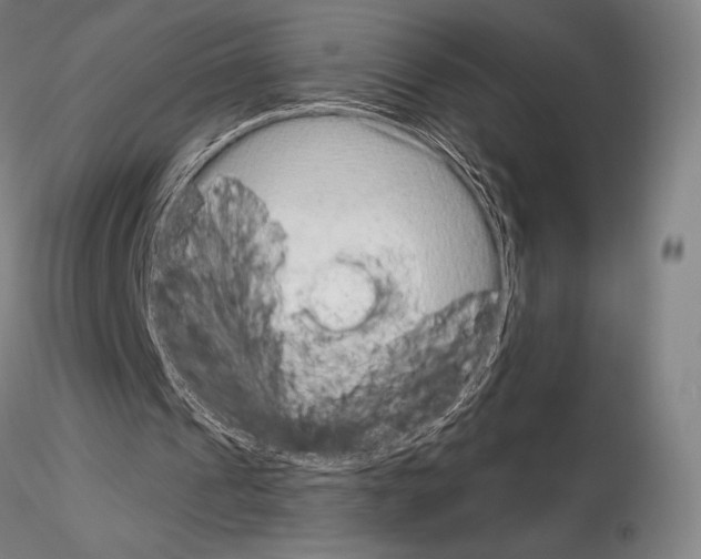 X0000114990241200912071123