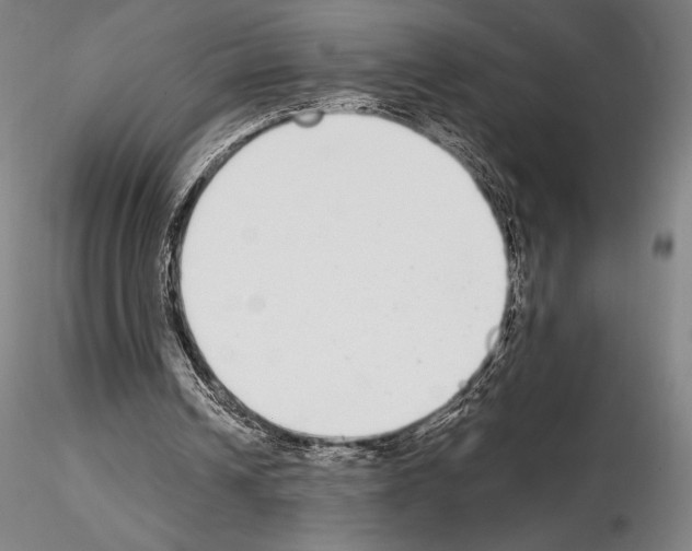 X0000114990242200912071123