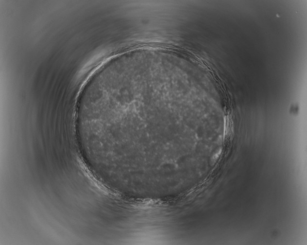 X0000114990243200912071123