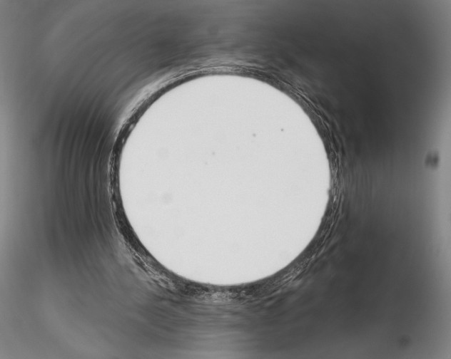 X0000114990244200912071123